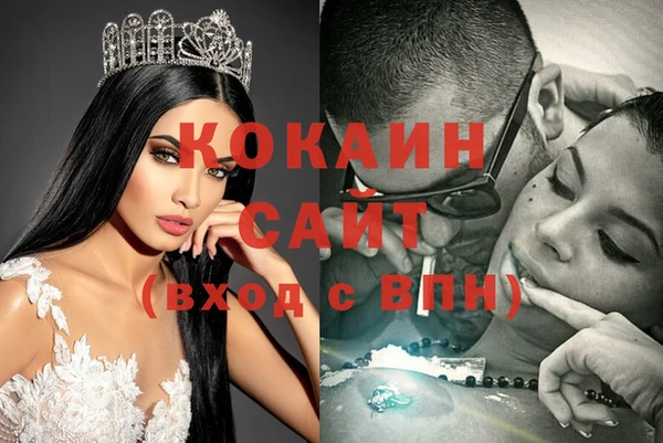 мет Алексин