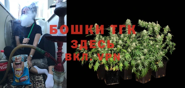 мет Алексин