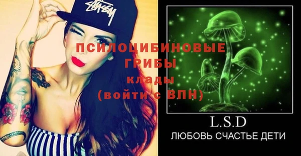 PSILOCYBIN Алексеевка