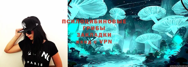 мет Алексин